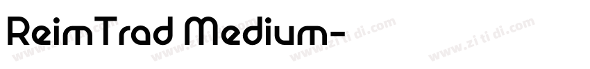 ReimTrad Medium字体转换